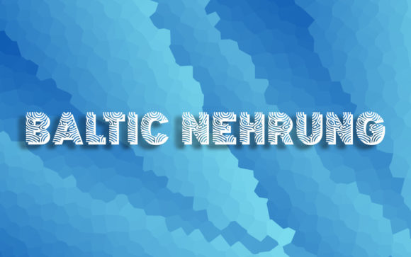 Baltic Nehrung: The Creative Font for Your Boldest Ideas