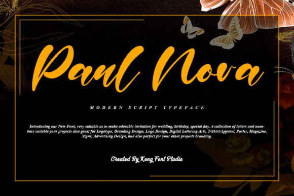 Paul Nora: A Playful Script for Your Creative Projects